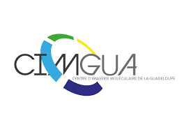 Logo Cimgua